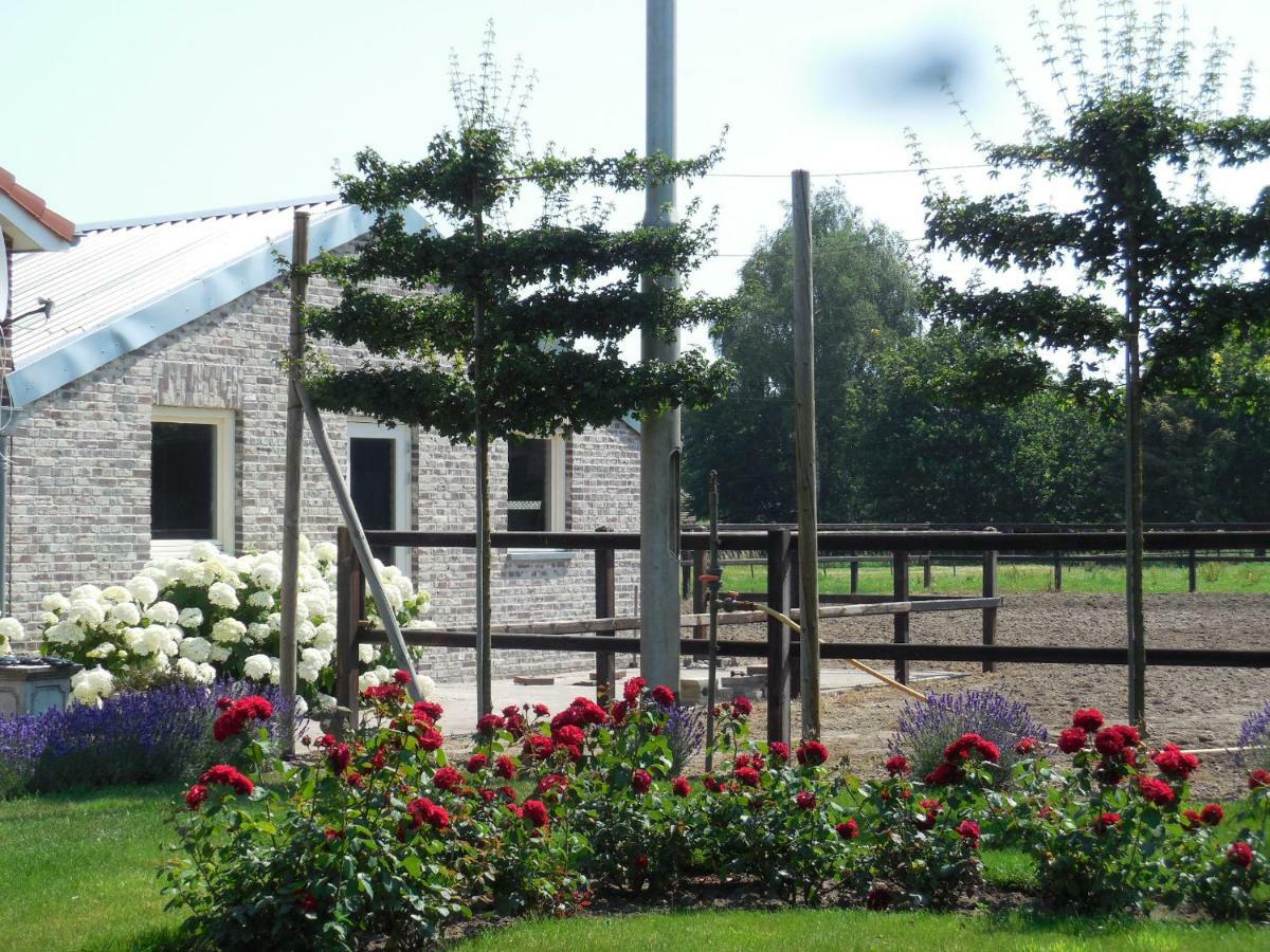 B & B " De 7 Sprong " Sevenum Kültér fotó